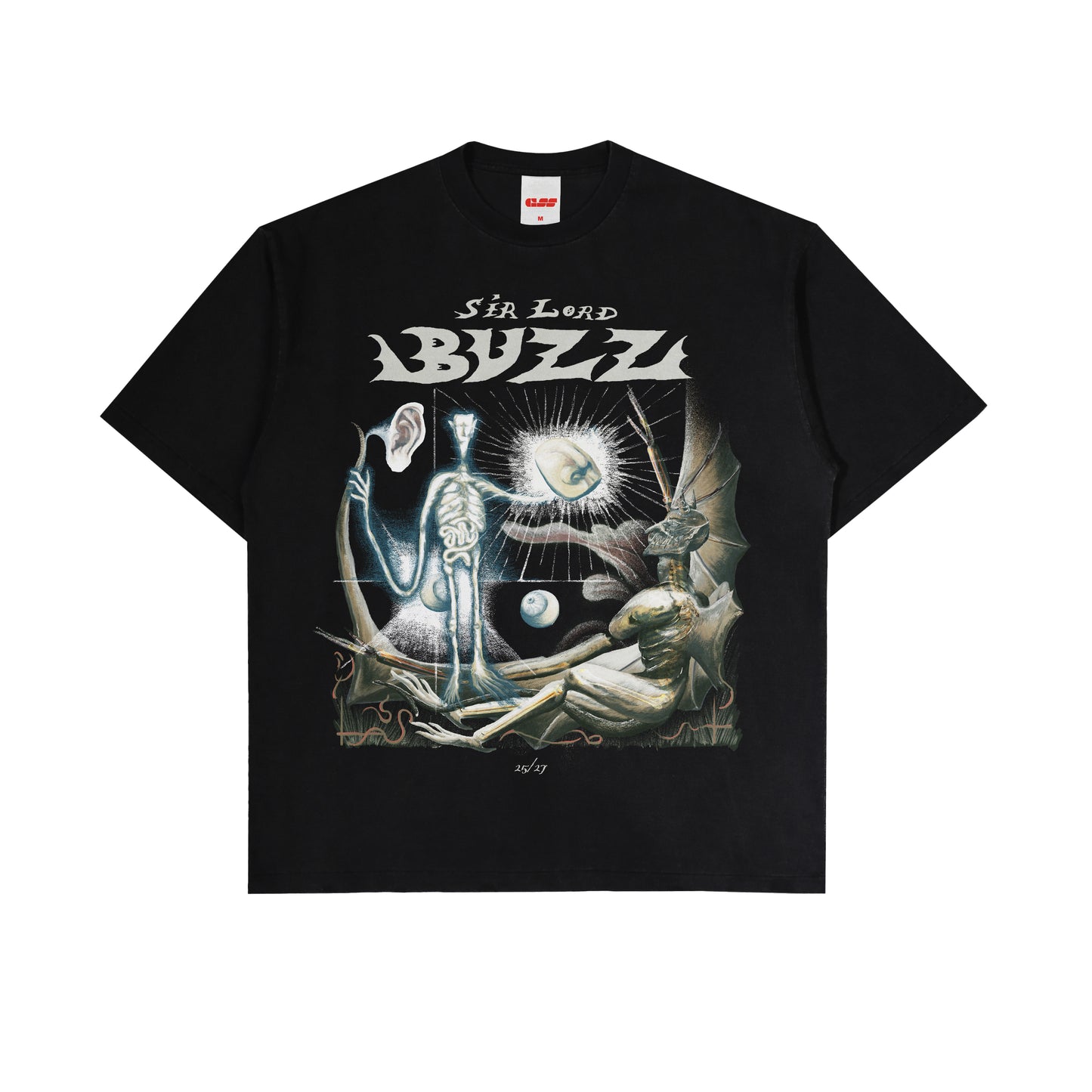 SIR LORD BUZZ 25/27